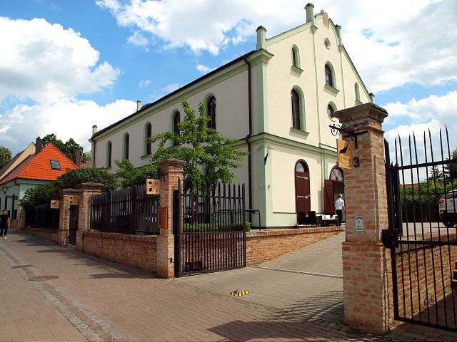 Synagóga café pripravuje na narodeninovú oslavu koncert Roba Pappa