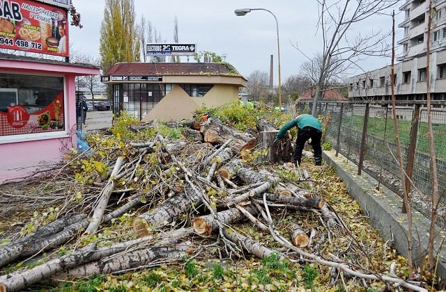 Masívny výrub na bývalom trhovisku: Vyťali viac ako dvadsať topoľov