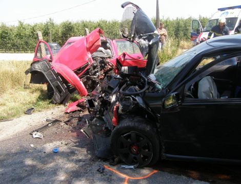 ROZŠÍRENÉ: Môže za smrť človeka zrazený holub a skratová reakcia?