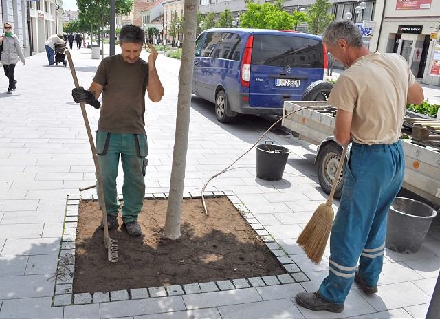 Pod stromy na pešej zóne sa možno vráti tráva