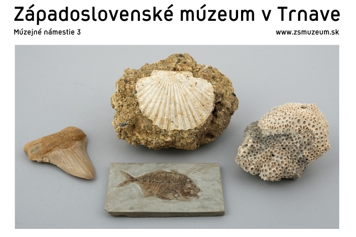 Milovníci kultúry si prídu na svoje, v Trnave začínajú tri výstavy