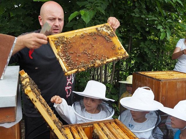 Včely v participatívnych rozpočtoch bodujú, autori projektov šíria povedomie aj medzi deťmi