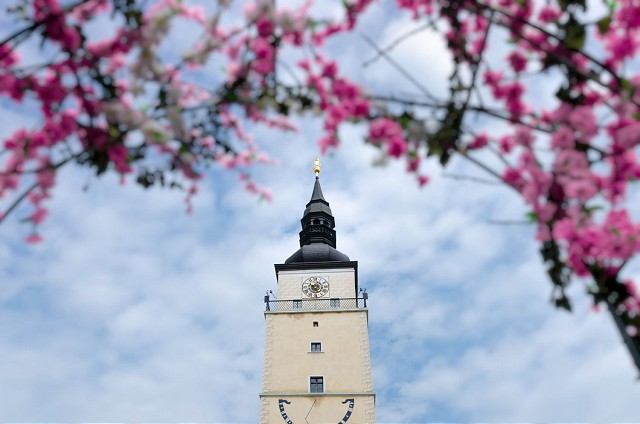 Trnava po vynútenej pauze otvorila pre turistov Mestskú vežu a informačné centrum