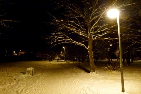 Konečne bezpečná vianočná idylka staničného parku