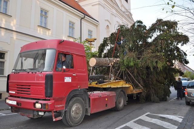 Do centra Trnavy privezú vo štvrtok vianočný strom