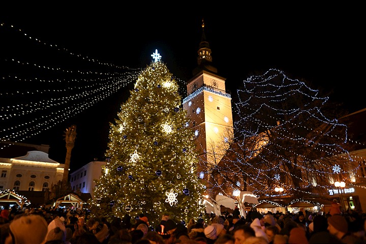 Trnavské Trojičné námestie bude zdobiť vianočný strom z Brestovian