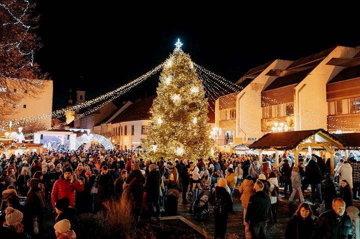 Vianoce nie sú až tak ďaleko, Trnava hľadá strom na Trojičné námestie