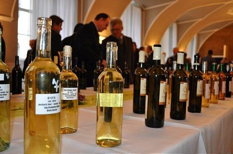 Milovníci vína si prídu na svoje, v piatok a sobotu vystavia v športovej hale päťsto vzoriek