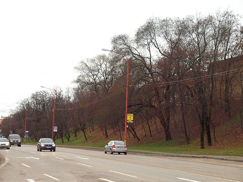 Na Hlbokej vyrúbu vyše dvesto stromov, aby zviditeľnili hradby