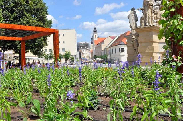 Trojičné námestie je zelenšie, v novom záhone vysadili tisíc kvetov