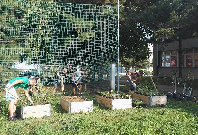 Prvá komunitná záhrada a Jedlý park v Trnave nadobúdajú reálne kontúry