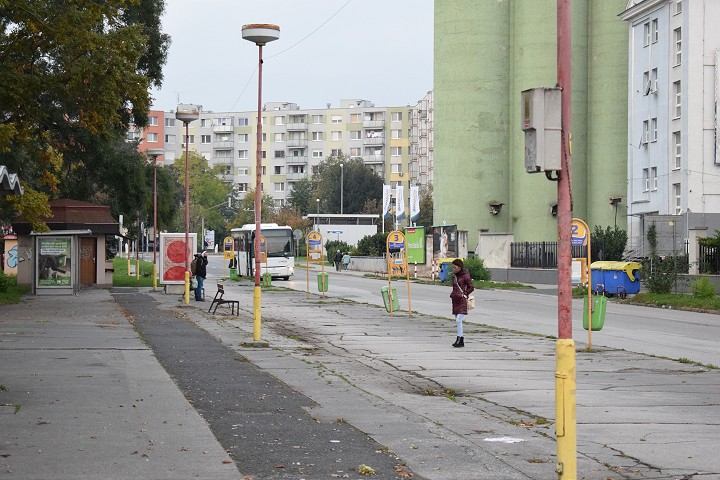 Trnava v rozpočte na budúci rok ráta so Zeleným kríčkom aj investíciami do škôl